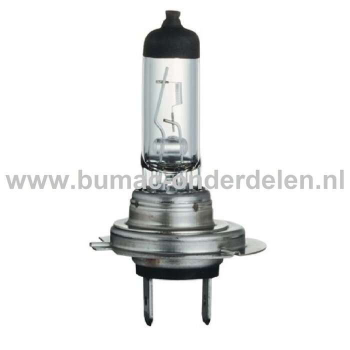 Halogeenlamp 24V-70W Fitting PX26d Vermogen 70 Watt Type H7 Lamp voor Koplamp Verlichting Auto, Trekker, Aanhanger, Shovel, Hijskraan, Verlichtingsbalk