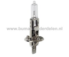 Halogeenlamp 24V-70W Fitting P14.5s Vermogen 70 Watt Type H1 Lamp voor Koplamp Verlichting Auto, Trekker, Aanhanger, Shovel, Hijskraan, Verlichtingsbalk