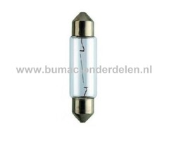 Buislamp 24V-5W Fitting SV8.5 Vermogen 5 Watt Type C5W Lamp voor Knipperlicht, Remlicht, Mistachterlicht, Achteruitrijverlichting, Verlichting Auto, Trekker, Aanhanger, Shovel, Hijskraan, Verlichtingsbalk