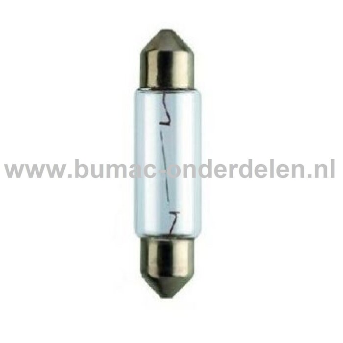 Buislamp 24V-5W Fitting SV8.5 Vermogen 5 Watt Type C5W Lamp voor Knipperlicht, Remlicht, Mistachterlicht, Achteruitrijverlichting, Verlichting Auto, Trekker, Aanhanger, Shovel, Hijskraan, Verlichtingsbalk