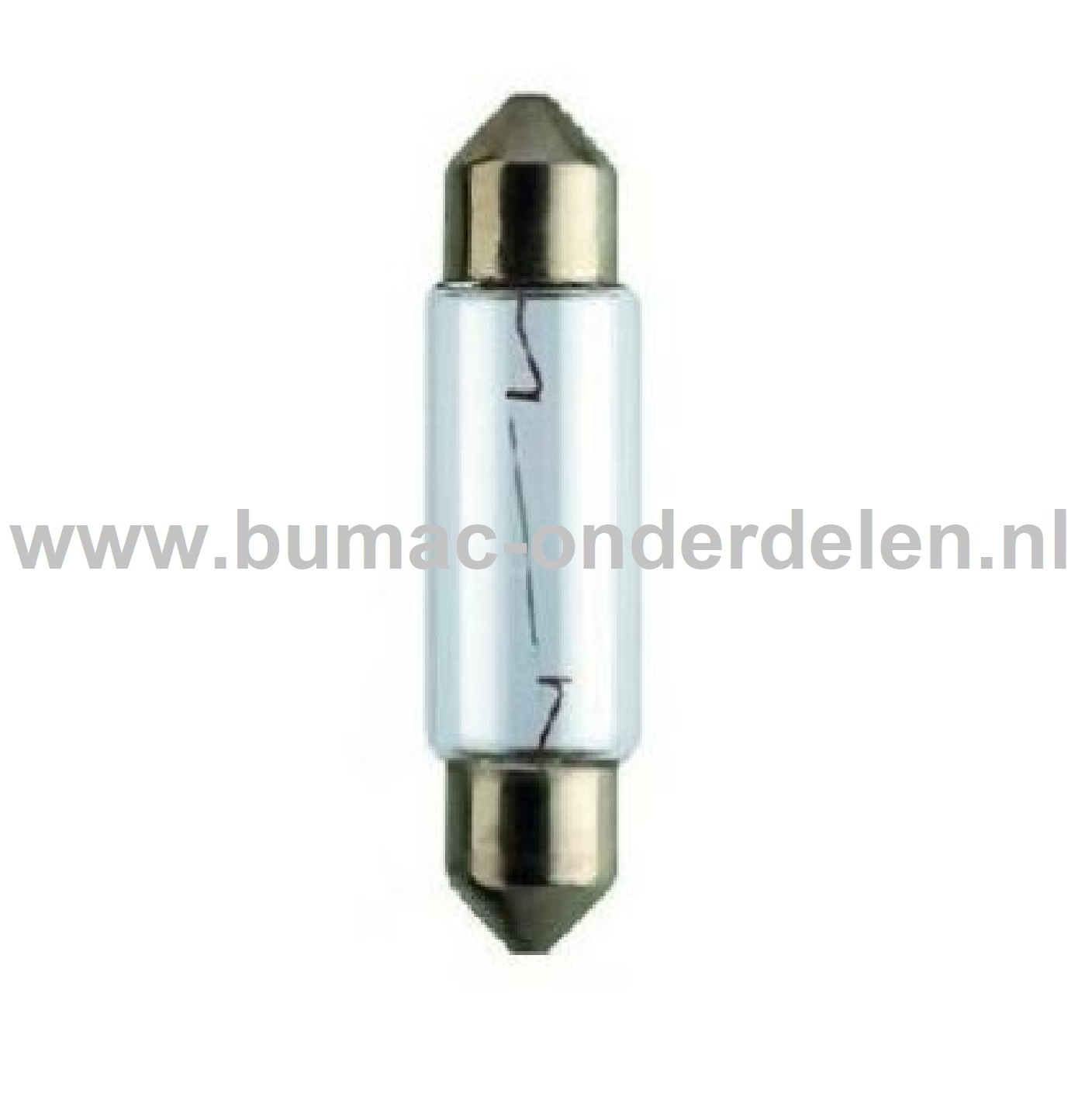Buislamp 24V-5W Fitting SV8.5 Vermogen 5 Watt Type C5W Lamp voor Knipperlicht, Remlicht, Mistachterlicht, Achteruitrijverlichting, Verlichting Auto, Trekker, Aanhanger, Shovel, Hijskraan, Verlichtingsbalk