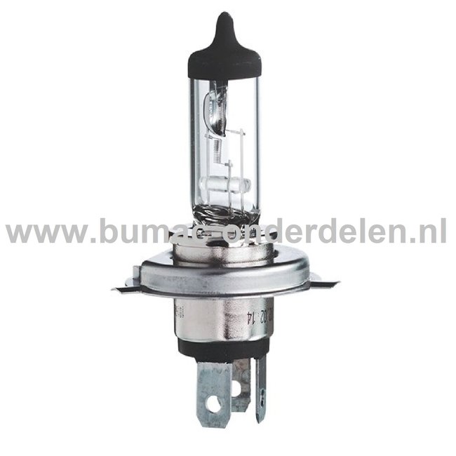 Halogeenlamp 24V-75/70W Fitting P43tVermogen 75/70 Watt Type H4 Lamp voor Koplamp Verlichting Auto, Trekker, Aanhanger, Shovel, Hijskraan, Verlichtingsbalk