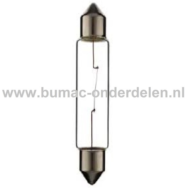 Buislamp 24V-5W Fitting SV8.5 Vermogen 5 Watt Type C5W Lamp voor Knipperlicht, Remlicht, Mistachterlicht, Achteruitrijverlichting, Verlichting Auto, Trekker, Aanhanger, Shovel, Hijskraan, Verlichtingsbalk