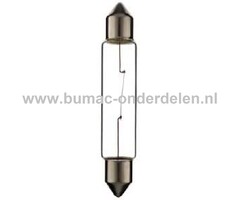 Buislamp 24V-10W Fitting SV8.5 Vermogen 10 Watt Type C5W Lamp voor Knipperlicht, Remlicht, Mistachterlicht, Achteruitrijverlichting, Verlichting Auto, Trekker, Aanhanger, Shovel, Hijskraan, Verlichtingsbalk