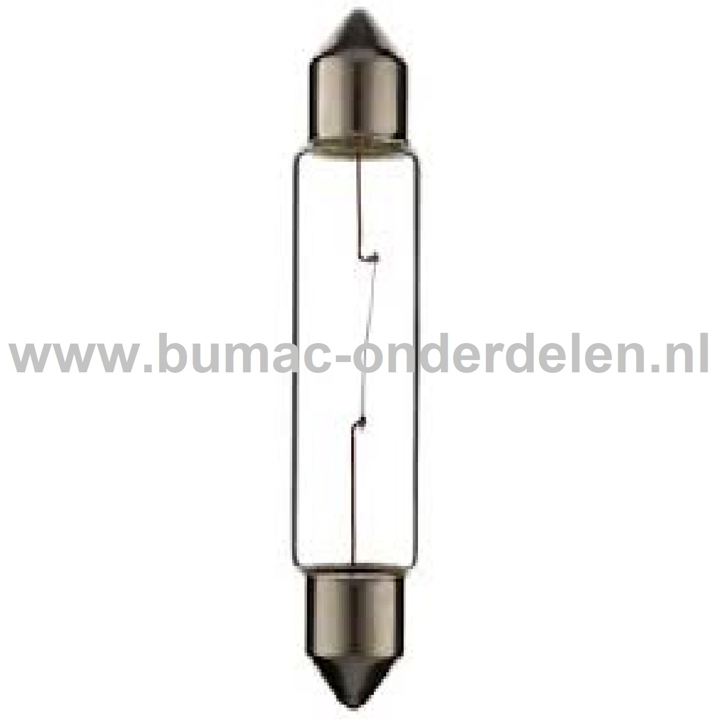 Buislamp 24V-10W Fitting SV8.5 Vermogen 10 Watt Type C5W Lamp voor Knipperlicht, Remlicht, Mistachterlicht, Achteruitrijverlichting, Verlichting Auto, Trekker, Aanhanger, Shovel, Hijskraan, Verlichtingsbalk