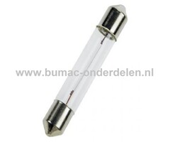 Buislamp 24V-3W Fitting SV6 Vermogen 3 Watt Type T6.2x27 Lamp voor Knipperlicht, Remlicht, Mistachterlicht, Achteruitrijverlichting, Verlichting Auto, Trekker, Aanhanger, Shovel, Hijskraan, Verlichtingsbalk