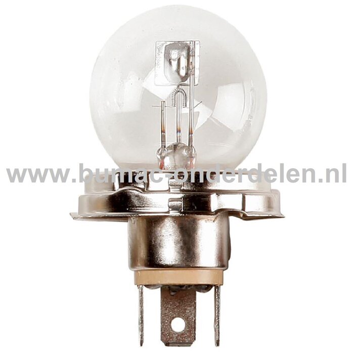 Gloeilamp 24V-55/50W Fitting P45t Vermogen 55/50 Watt Type R2 Peertje voor Knipperlicht, Remlicht, Mistachterlicht, Achteruitrijverlichting, Verlichting Auto, Trekker, Aanhanger, Shovel, Hijskraan, Verlichtingsbalk