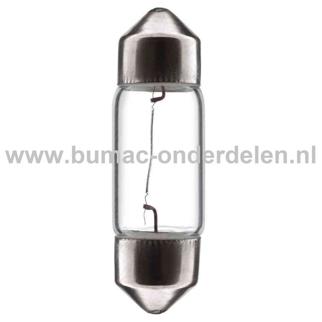 Buislamp 24V-3W Fitting SV8.5 Vermogen 3 Watt Type T8.2x31 Lamp voor Knipperlicht, Remlicht, Mistachterlicht, Achteruitrijverlichting, Verlichting Auto, Trekker, Aanhanger, Shovel, Hijskraan, Verlichtingsbalk