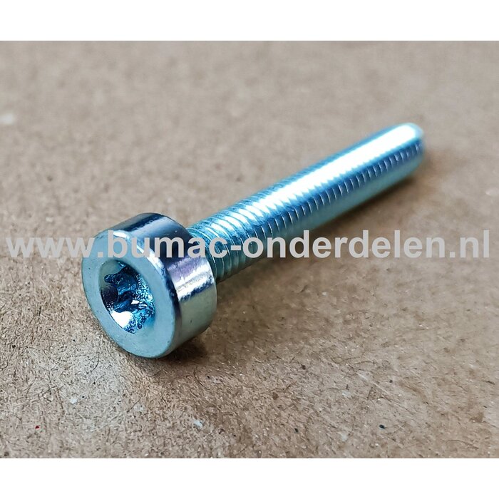 Torx Bout M5x30 mm Metrisch voor Stihl Heggenscharen, Bosmaaiers, Trimmers, Motorzeisen Bout Torx, Cilinderkopbout, Bout, Schroef