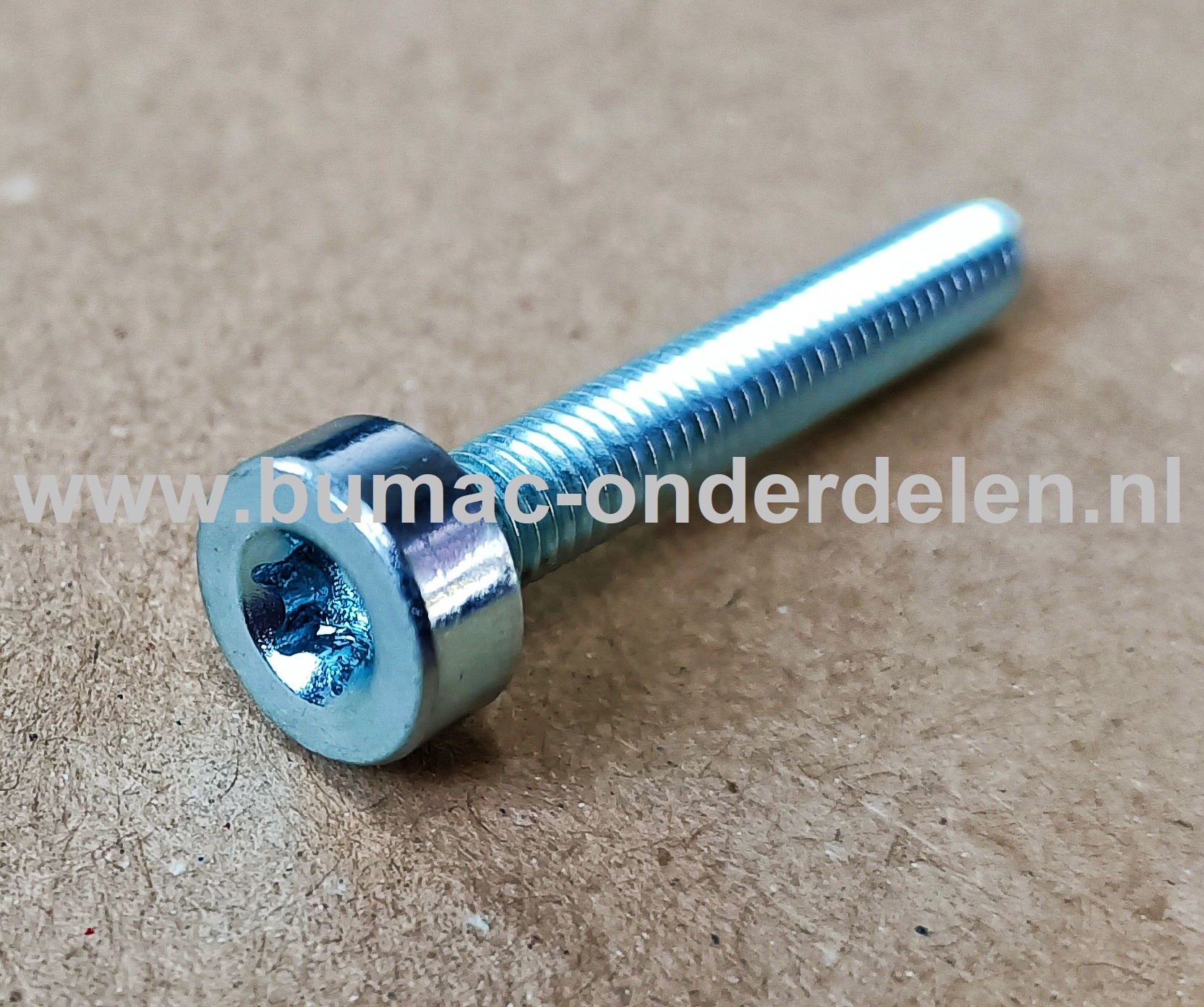 Torx Bout M5x30 mm Metrisch voor Stihl Heggenscharen, Bosmaaiers, Trimmers, Motorzeisen Bout Torx, Cilinderkopbout, Bout, Schroef
