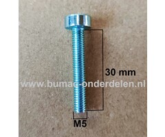 Torx Bout M5x30 mm Metrisch voor Stihl Heggenscharen, Bosmaaiers, Trimmers, Motorzeisen Bout Torx, Cilinderkopbout, Bout, Schroef