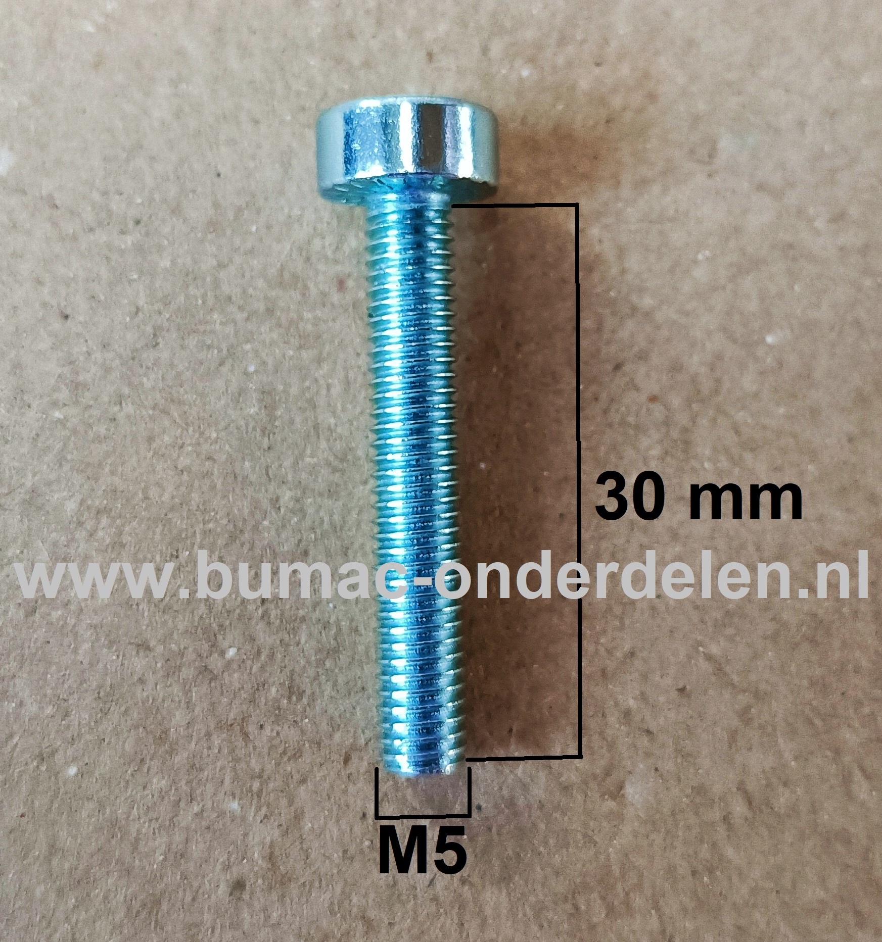 Torx Bout M5x30 mm Metrisch voor Stihl Heggenscharen, Bosmaaiers, Trimmers, Motorzeisen Bout Torx, Cilinderkopbout, Bout, Schroef