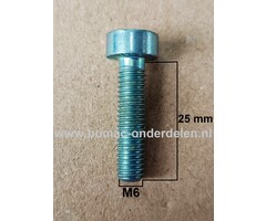 Torx Bout M6x25 mm Metrisch voor STIHL Heggenscharen, Bandenzagen, Motorslijpers, Doorslijpers Bout Torx, Cilinderkopbout, Bout, Schroef, onderdelen