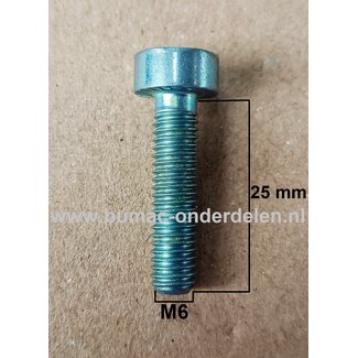 Torx Bout M6x25 mm Metrisch voor STIHL Heggenscharen, Bandenzagen, Motorslijpers, Doorslijpers Bout Torx, Cilinderkopbout, Bout, Schroef, onderdelen