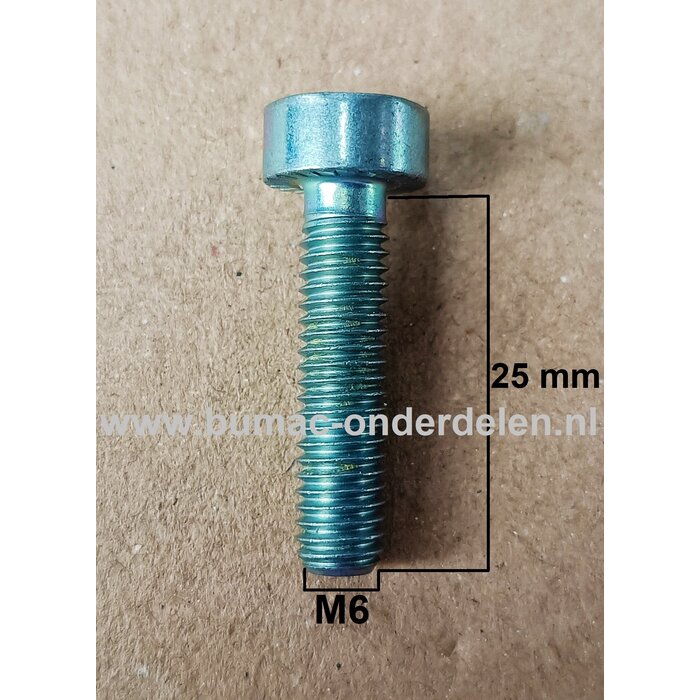 Torx Bout M6x25 mm Metrisch voor STIHL Heggenscharen, Bandenzagen, Motorslijpers, Doorslijpers Bout Torx, Cilinderkopbout, Bout, Schroef, onderdelen
