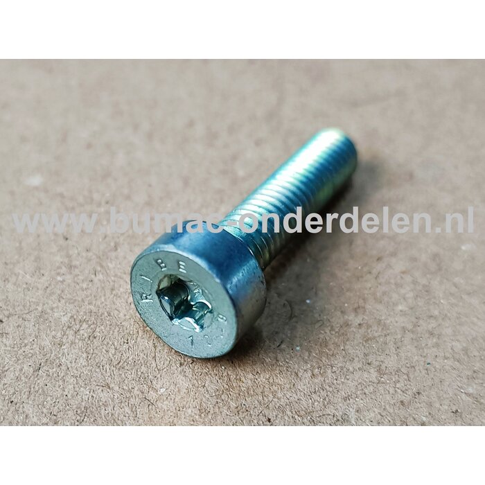 Torx Bout M6x25 mm Metrisch voor STIHL Heggenscharen, Bandenzagen, Motorslijpers, Doorslijpers Bout Torx, Cilinderkopbout, Bout, Schroef, onderdelen