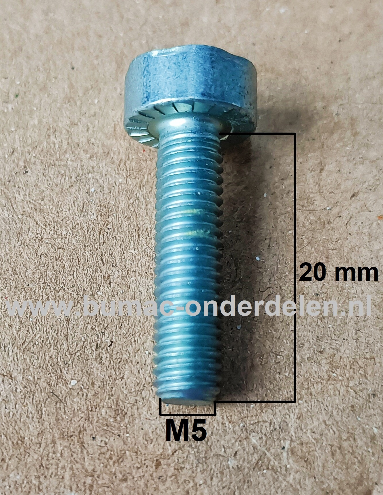 Torx bout M5x20 mm Metrisch voor STIHL Doorslijpers, Bandenzaag, Motorslijpers, Kettingzagen, Benzinezagen, Motorzagen Bout Torx, Cilinderkopbout, Bout, Schroef, onderdelen