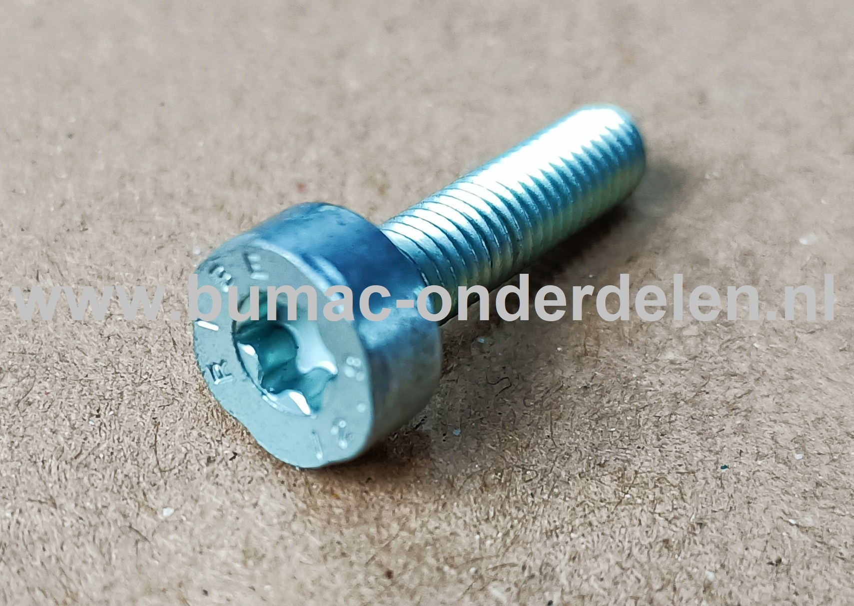 Torx bout M5x20 mm Metrisch voor STIHL Doorslijpers, Bandenzaag, Motorslijpers, Kettingzagen, Benzinezagen, Motorzagen Bout Torx, Cilinderkopbout, Bout, Schroef, onderdelen