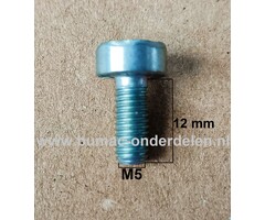 Torx Bout M5x12 mm Metrisch voor STIHL Doorslijpers, Bandenzaag, Motorslijpers, Kettingzagen, Benzinezagen, Motorzagen Bout Torx, Cilinderkopbout, Bout, Schroef, onderdelen