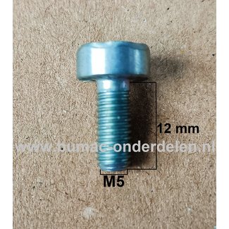 Torx Bout M5x12 mm Metrisch voor STIHL Doorslijpers, Bandenzaag, Motorslijpers, Kettingzagen, Benzinezagen, Motorzagen Bout Torx, Cilinderkopbout, Bout, Schroef, onderdelen