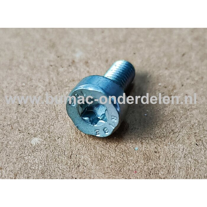 Torx Bout M5x12 mm Metrisch voor STIHL Doorslijpers, Bandenzaag, Motorslijpers, Kettingzagen, Benzinezagen, Motorzagen Bout Torx, Cilinderkopbout, Bout, Schroef, onderdelen