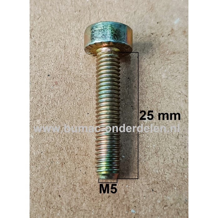 Torx Bout M5x25 mm Metrisch voor STIHL Doorslijpers, Bandenzaag, Motorslijpers, Kettingzagen, Benzinezagen, Motorzagen Bout Torx, Cilinderkopbout, Bout, Schroef, onderdelen