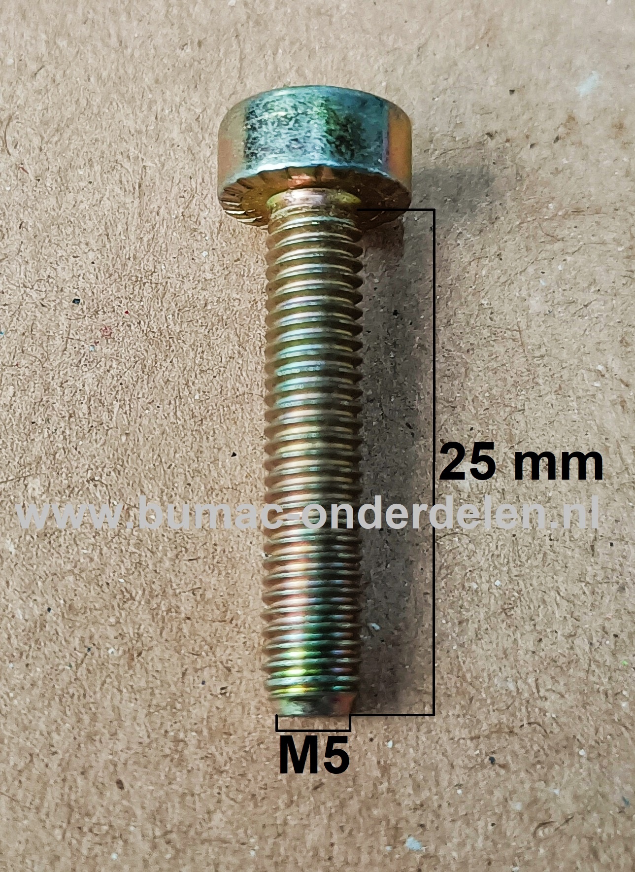Torx Bout M5x25 mm Metrisch voor STIHL Doorslijpers, Bandenzaag, Motorslijpers, Kettingzagen, Benzinezagen, Motorzagen Bout Torx, Cilinderkopbout, Bout, Schroef, onderdelen