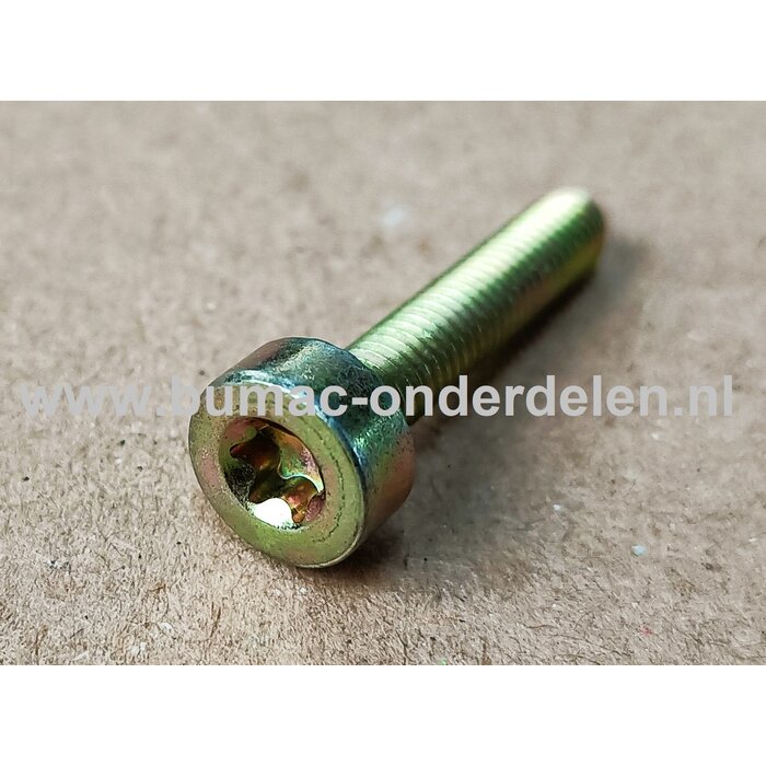 Torx Bout M5x25 mm Metrisch voor STIHL Doorslijpers, Bandenzaag, Motorslijpers, Kettingzagen, Benzinezagen, Motorzagen Bout Torx, Cilinderkopbout, Bout, Schroef, onderdelen