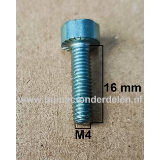 Torx Bout M4x16 mm Metrisch voor STIHL Kettingzagen, Motorzagen, Benzinezagen Bout Torx, Cilinderkopbout, Bout, Schroef, onderdelen