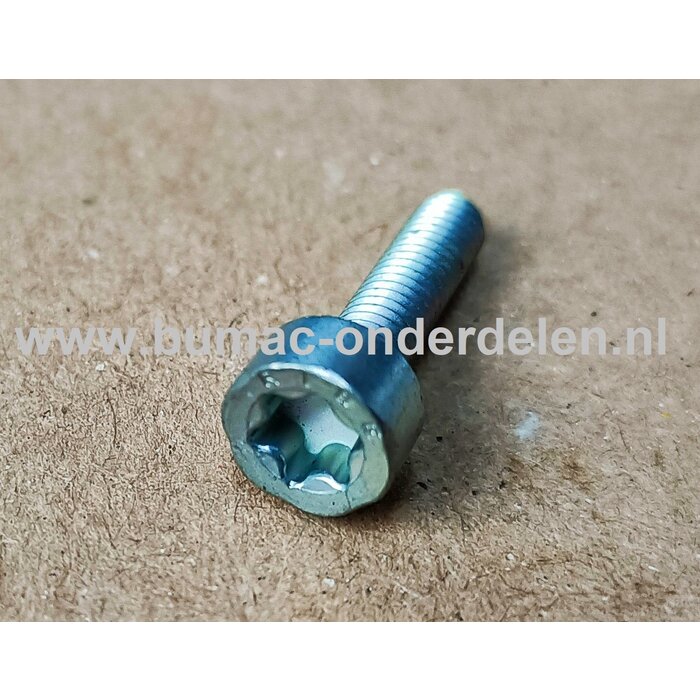 Torx Bout M4x16 mm Metrisch voor STIHL Kettingzagen, Motorzagen, Benzinezagen Bout Torx, Cilinderkopbout, Bout, Schroef, onderdelen