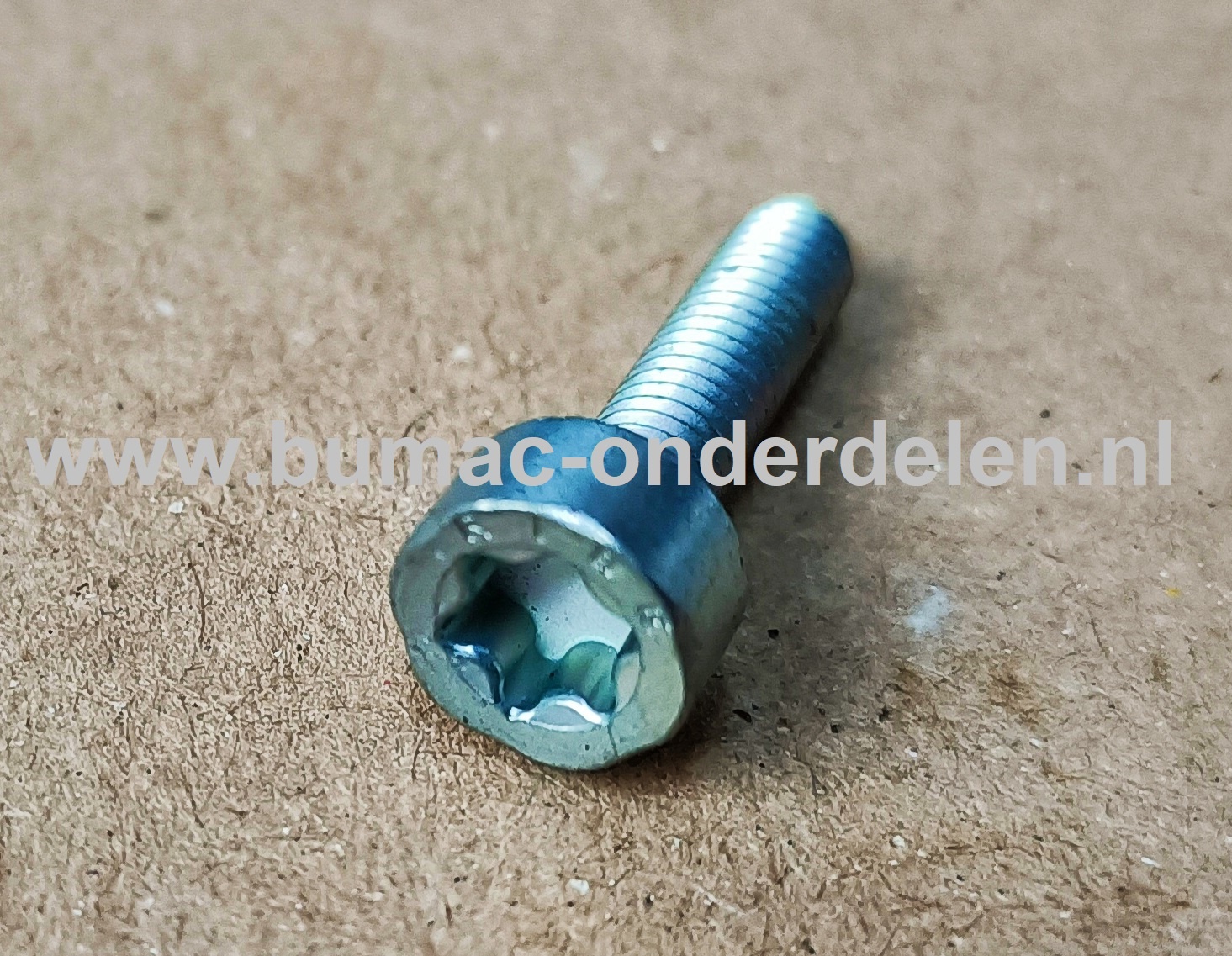 Torx Bout M4x16 mm Metrisch voor STIHL Kettingzagen, Motorzagen, Benzinezagen Bout Torx, Cilinderkopbout, Bout, Schroef, onderdelen