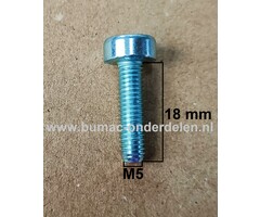 Torx Bout M5x18 mm Metrisch voor STIHL Bladblazers, Bladvegers, Blowers, Heggenscharen, Kettingzagen, Motorzagen, Benzinezagen Bout Torx, Cilinderkopbout, Bout, Schroef, onderdelen