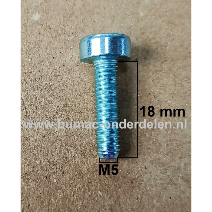 Torx Bout M5x18 mm Metrisch voor STIHL Bladblazers, Bladvegers, Blowers, Heggenscharen, Kettingzagen, Motorzagen, Benzinezagen Bout Torx, Cilinderkopbout, Bout, Schroef, onderdelen