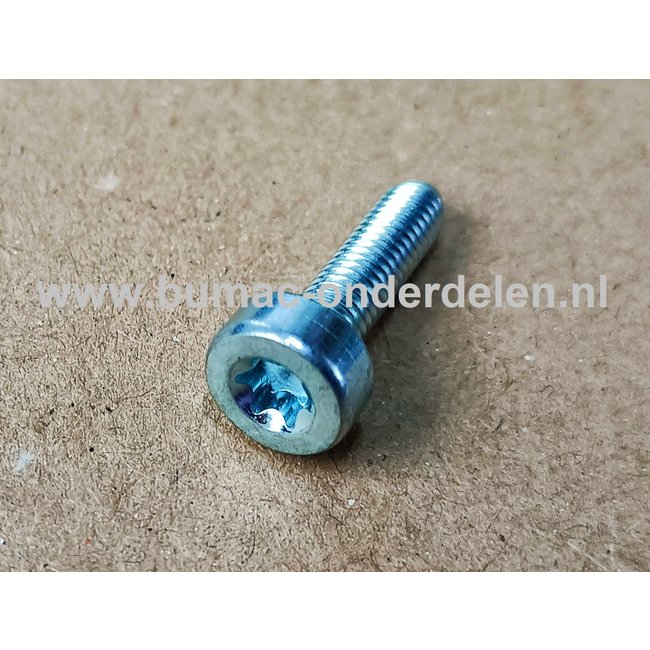 10 Viti A Cuneo Torx T27 M5X18 Per Motosega STIHL 9022 371/1020 - Ricambio Nuovo