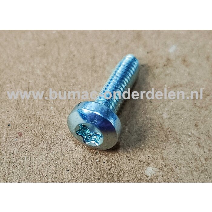 Torx Bout M4x14 mm Metrisch voor STIHL Heggenschaar, Bosmaaiers, Trimmers, Motorzeisen Bout Torx, Cilinderkopbout, Bout, Schroef, onderdelen