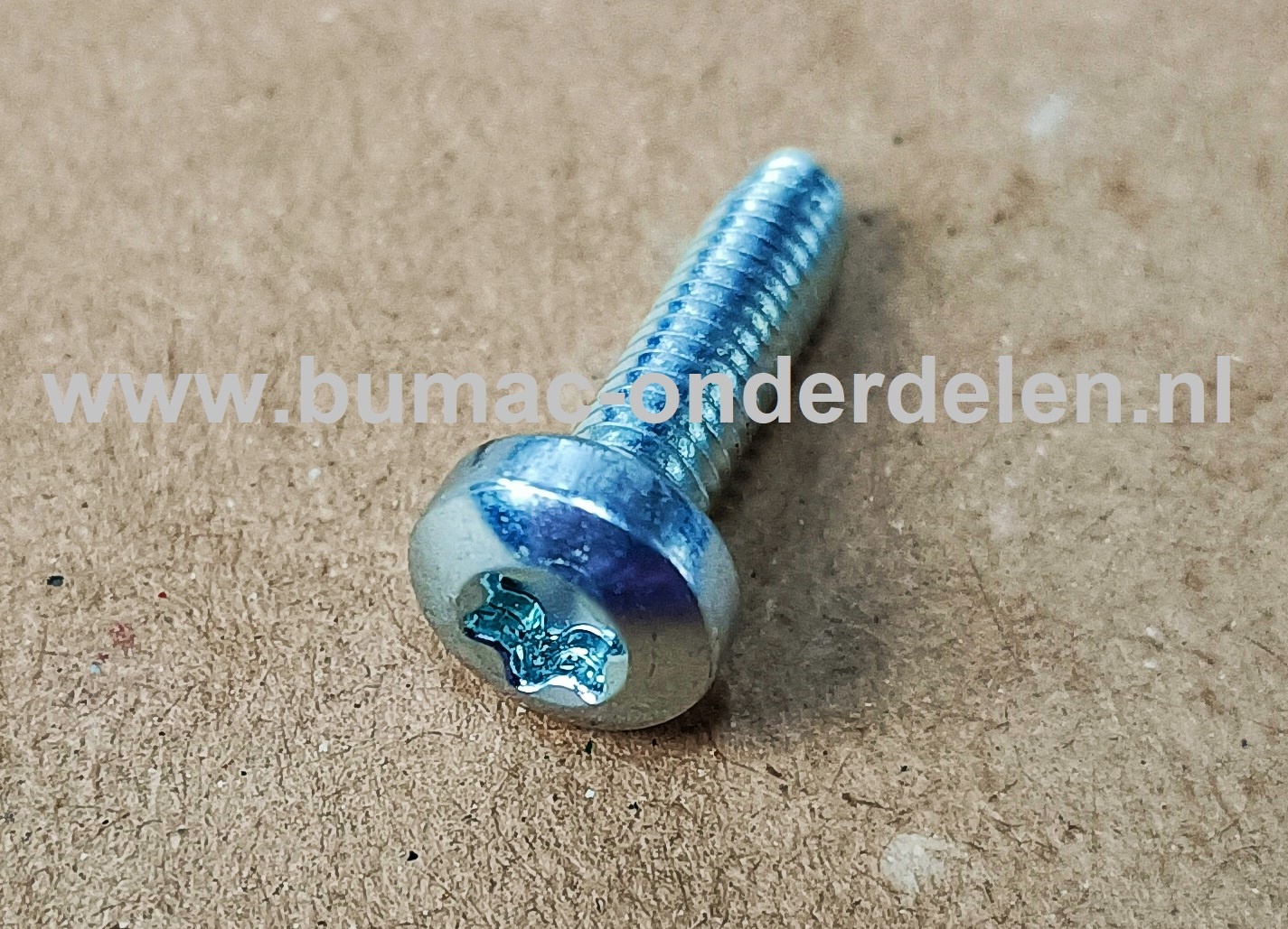 Torx Bout M4x14 mm Metrisch voor STIHL Heggenschaar, Bosmaaiers, Trimmers, Motorzeisen Bout Torx, Cilinderkopbout, Bout, Schroef, onderdelen