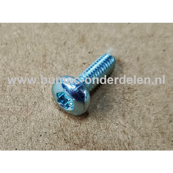 Torx Bout M4x12 mm Metrisch voor STIHL Heggenscharen, Trimmers, Bosmaaiers, Motorzeisen Bout Torx, Cilinderkopbout, Bout, Schroef, onderdelen