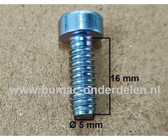 Torx Schroef 5x16 mm voor STIHL Bosmaaiers, Trimmers, Motorzeisen Schroef Torx, Cilinderkopbout, Bout, Schroef, onderdelen