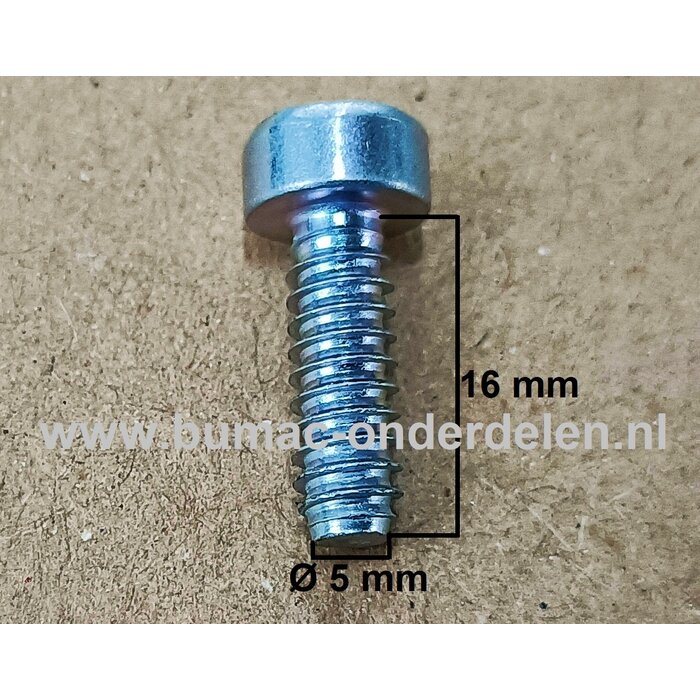 Torx Schroef 5x16 mm voor STIHL Bosmaaiers, Trimmers, Motorzeisen Schroef Torx, Cilinderkopbout, Bout, Schroef, onderdelen