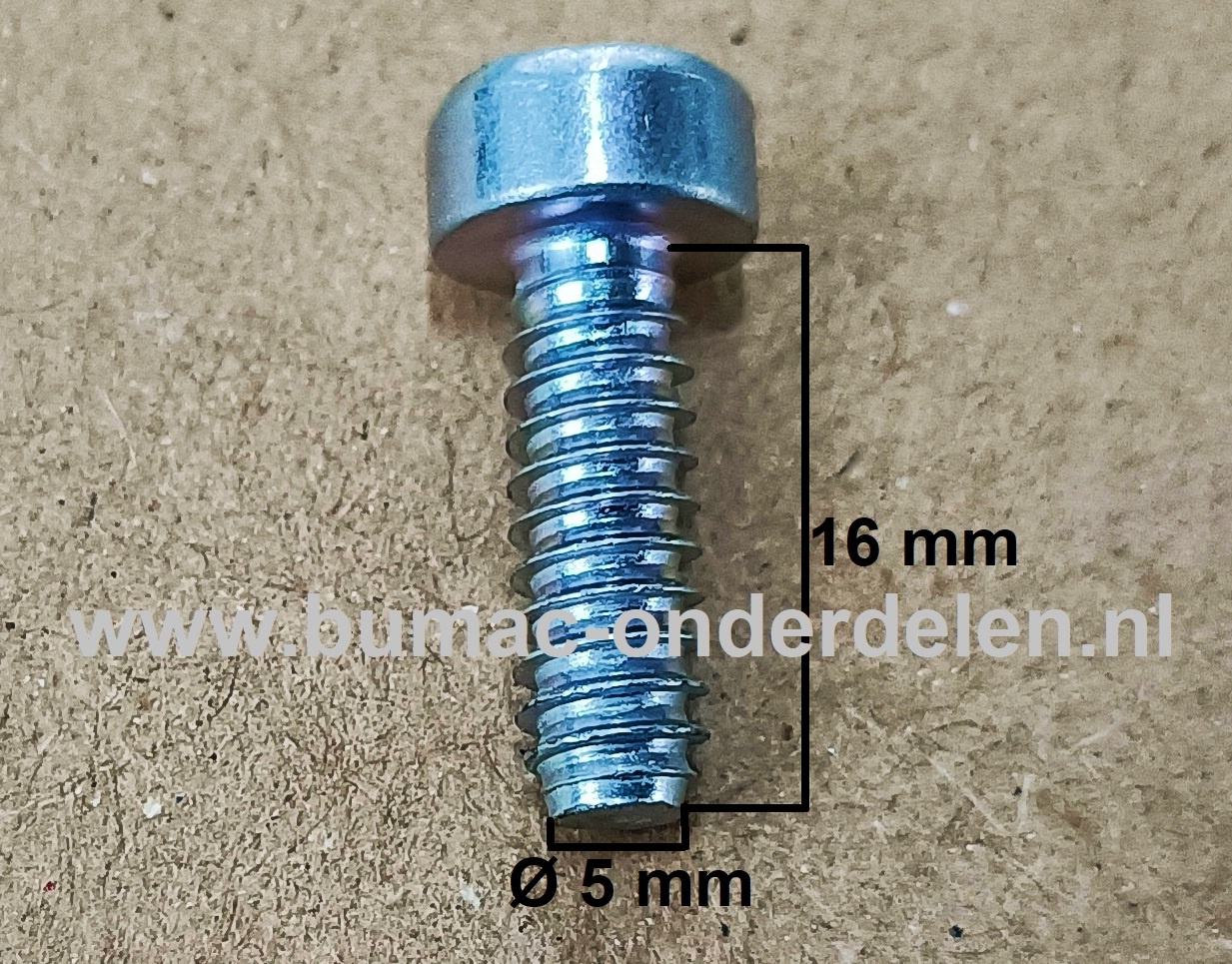 Torx Schroef 5x16 mm voor STIHL Bosmaaiers, Trimmers, Motorzeisen Schroef Torx, Cilinderkopbout, Bout, Schroef, onderdelen