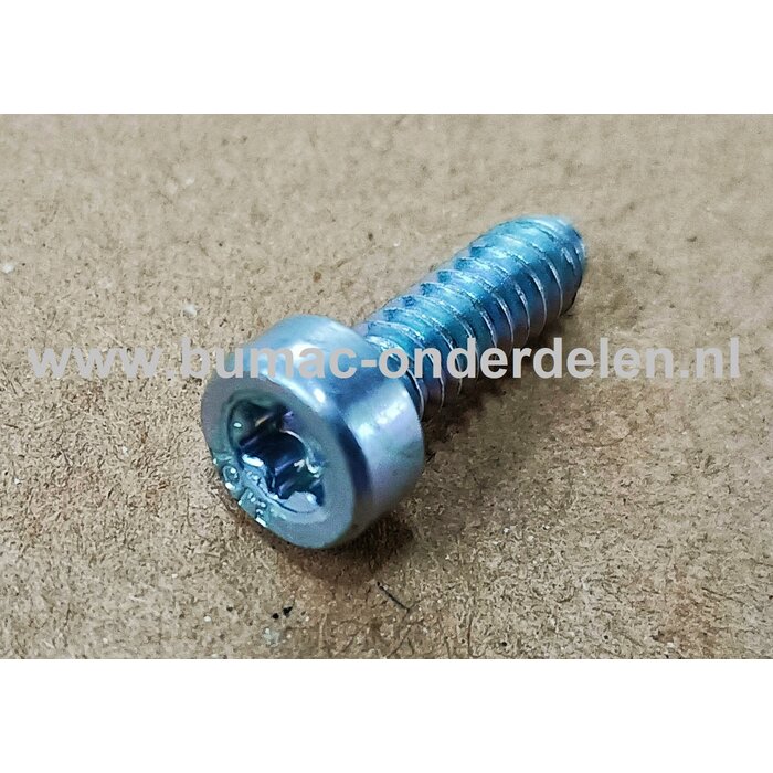Torx Schroef 5x16 mm voor STIHL Bosmaaiers, Trimmers, Motorzeisen Schroef Torx, Cilinderkopbout, Bout, Schroef, onderdelen