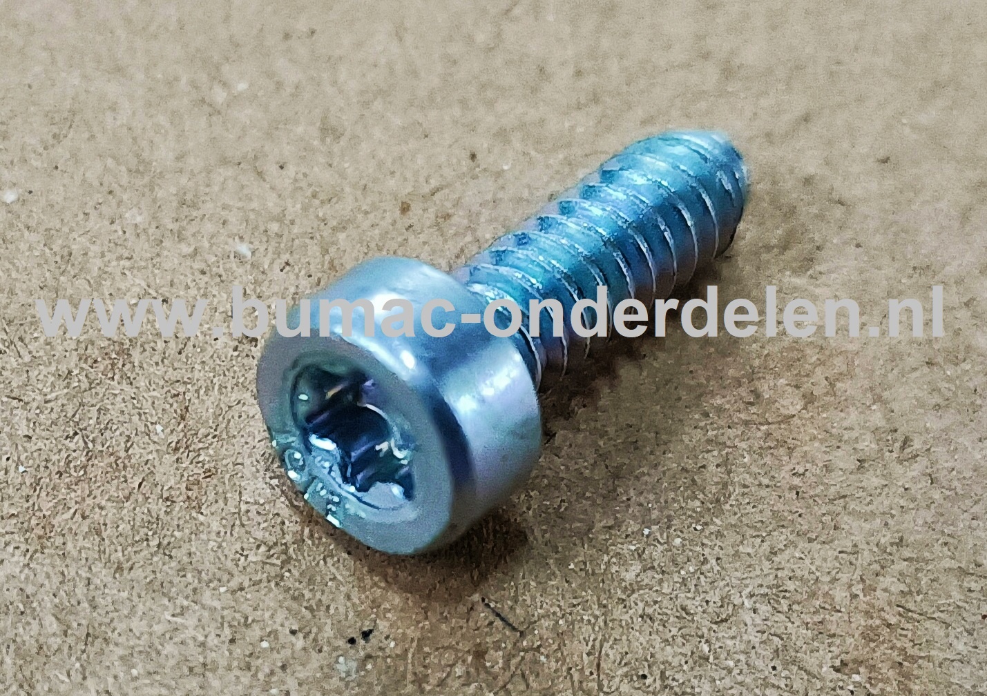 Torx Schroef 5x16 mm voor STIHL Bosmaaiers, Trimmers, Motorzeisen Schroef Torx, Cilinderkopbout, Bout, Schroef, onderdelen