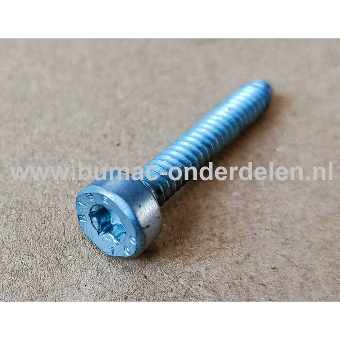 Torx Schroef 5x32 mm voor STIHL Heggenscharen, Trimmers, Bosmaaiers, Motorzeisen Schroef Torx, Cilinderkopbout, Bout, Schroef, onderdelen