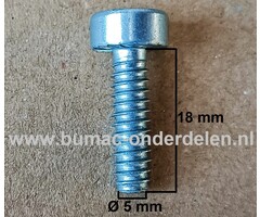 Torx Schroef 5x18 mm voor STIHL Kettingzagen, Motorzagen, Benzinezagen Schroef Torx, Cilinderkopbout, Bout, Schroef, onderdelen
