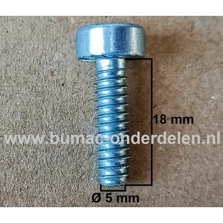 Torx Schroef 5x18 mm voor STIHL Kettingzagen, Motorzagen, Benzinezagen Schroef Torx, Cilinderkopbout, Bout, Schroef, onderdelen