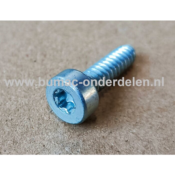Torx Schroef 5x18 mm voor STIHL Kettingzagen, Motorzagen, Benzinezagen Schroef Torx, Cilinderkopbout, Bout, Schroef, onderdelen