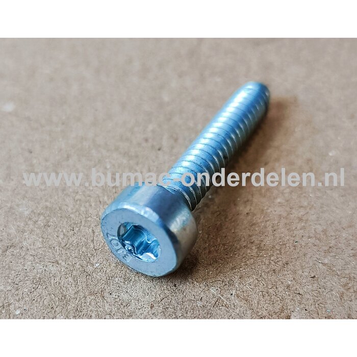 Torx Schroef 5x 28 mm voor STIHL Kettingzagen, Benzinezagen, Motorzagen, Heggenscharen Schroef Torx, Cilinderkopbout, Bout, Schroef, onderdelen