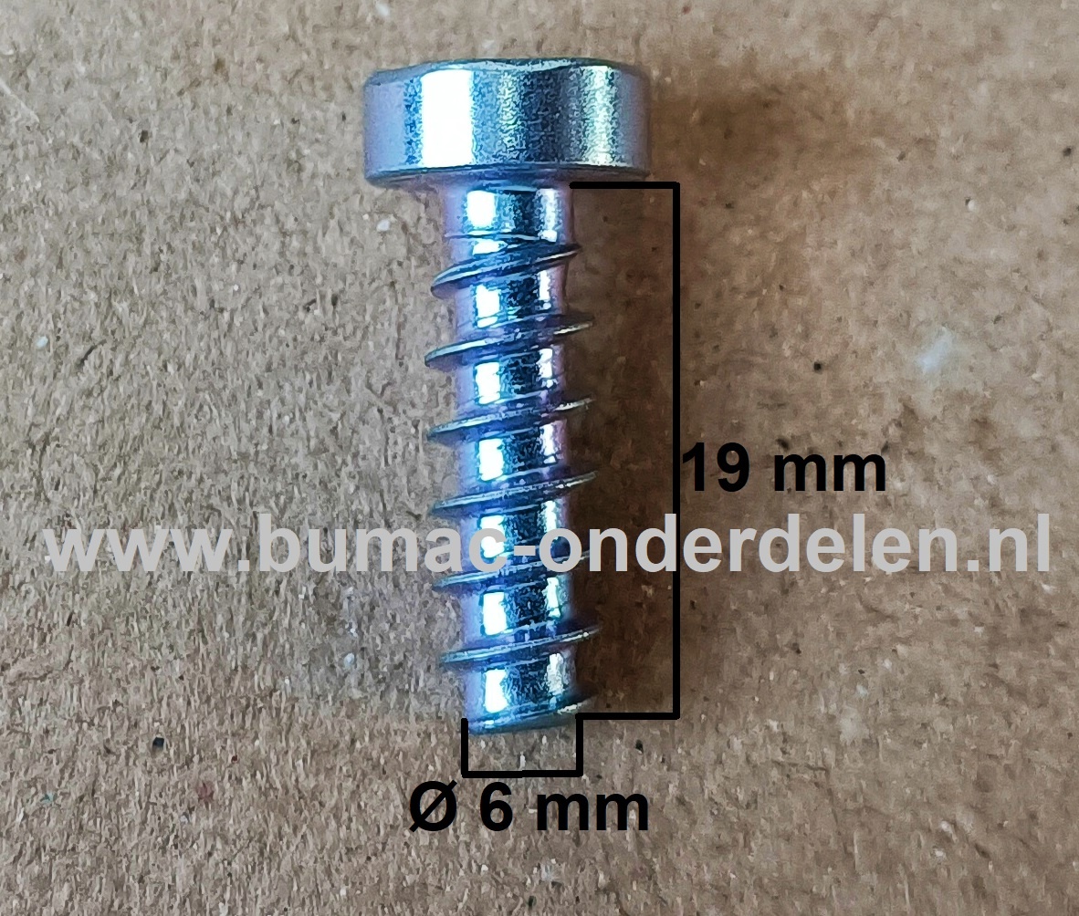 Torx Schroef 6x19 mm voor STIHL Bladblazers, Bladvegers, Blowers Schroef Torx, Cilinderkopbout, Bout, Schroef, onderdelen