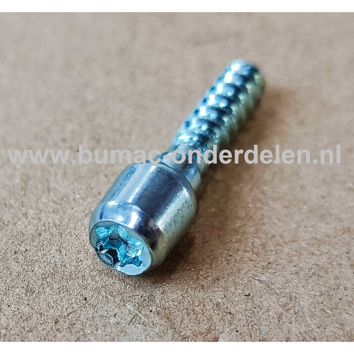 Torx Schroef 6x25 mm voor STIHL Kettingzagen, Motorzagen, Benzinezagen Schroef Torx, Cilinderkopbout, Bout, Schroef, onderdelen