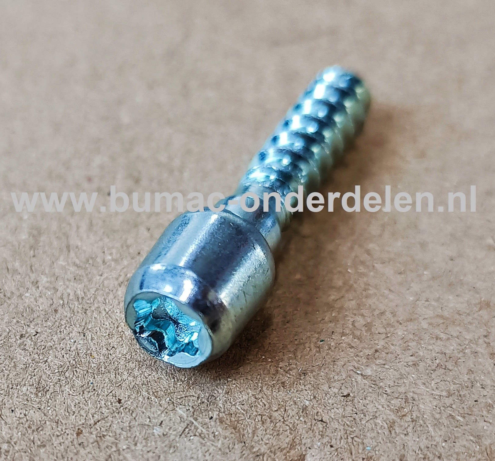 Torx Schroef 6x25 mm voor STIHL Kettingzagen, Motorzagen, Benzinezagen Schroef Torx, Cilinderkopbout, Bout, Schroef, onderdelen